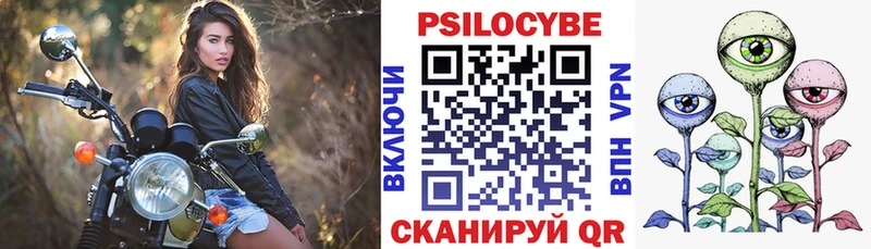 купить закладку  мега ТОР  Псилоцибиновые грибы Cubensis  Жиздра 