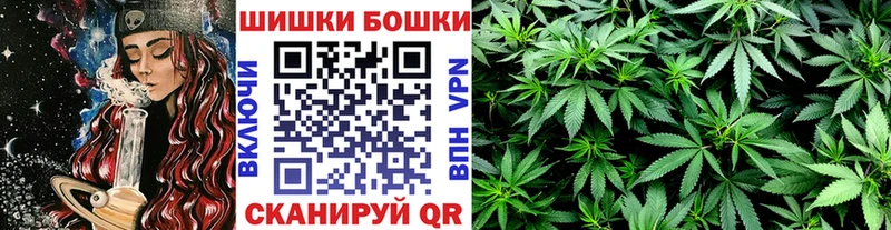 дарк нет клад  Жиздра  МАРИХУАНА OG Kush 